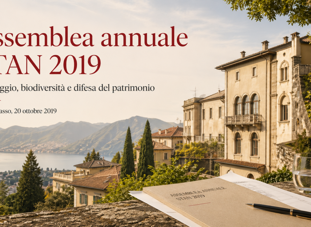 Assemblea STAN 2019