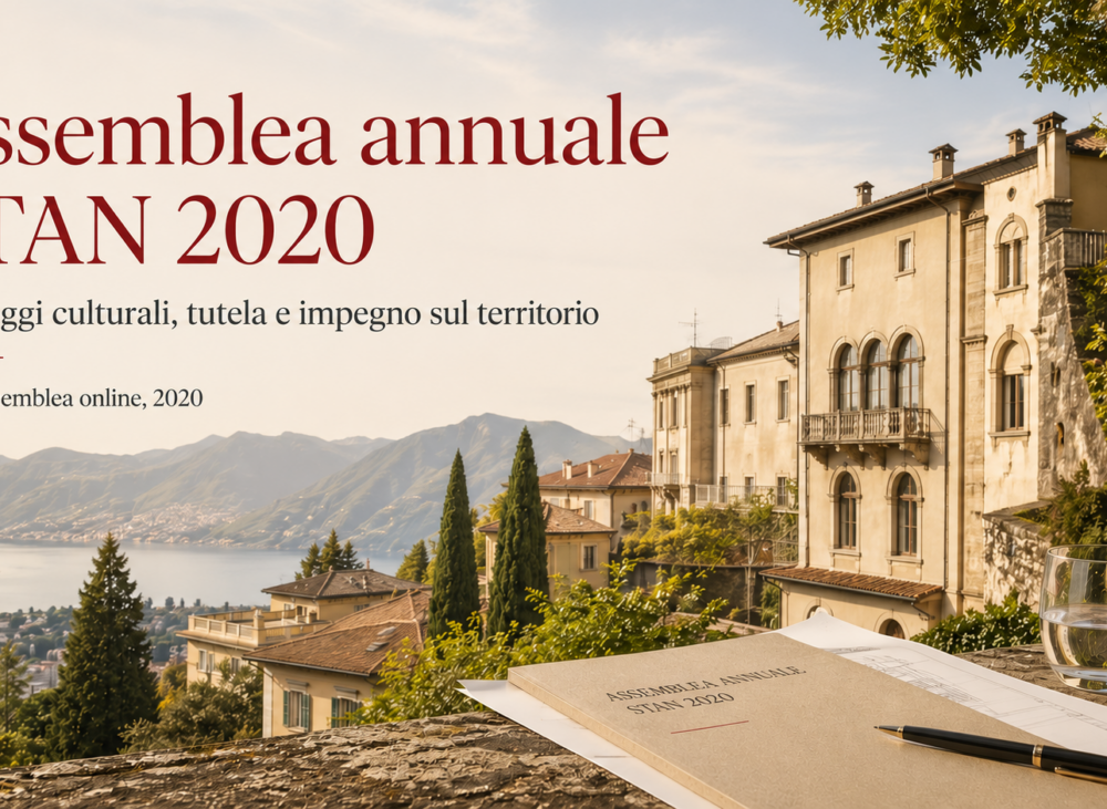Assemblea STAN 2020