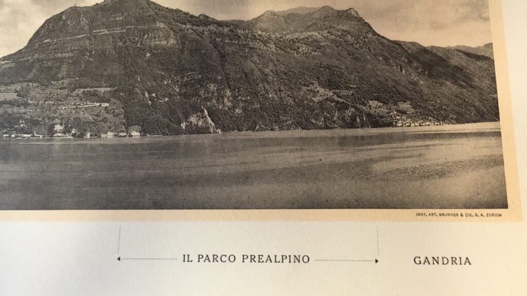 Immagine tratta da Fascicolo XV STCBNA Il Parco prealpino